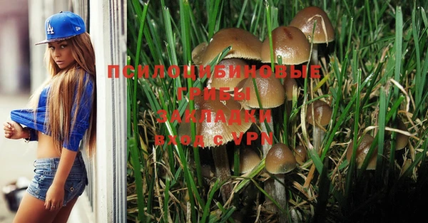 кокс Армянск