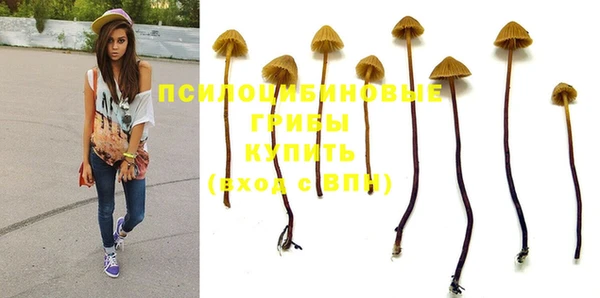 кокс Армянск