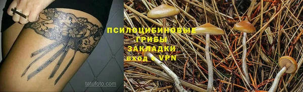 Альфа ПВП Арсеньев
