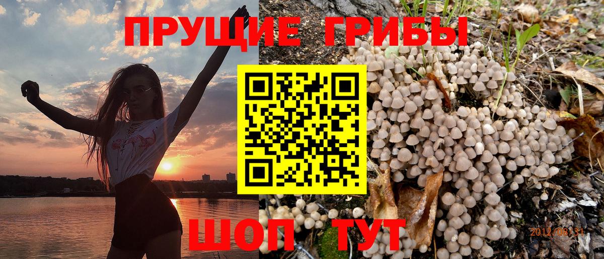 Псилоцибиновые грибы Magic Shrooms Миасс