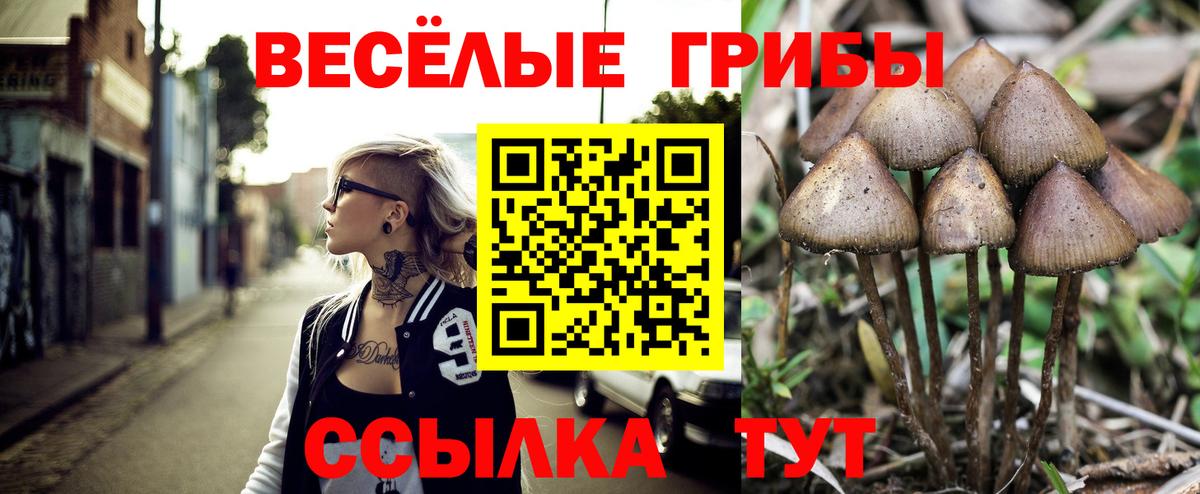 Миасс  Псилоцибиновые грибы MAGIC MUSHROOMS  Вход с VPN 